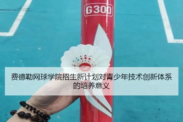 费德勒网球学院招生新计划对青少年技术创新体系的培养意义（qiangui）